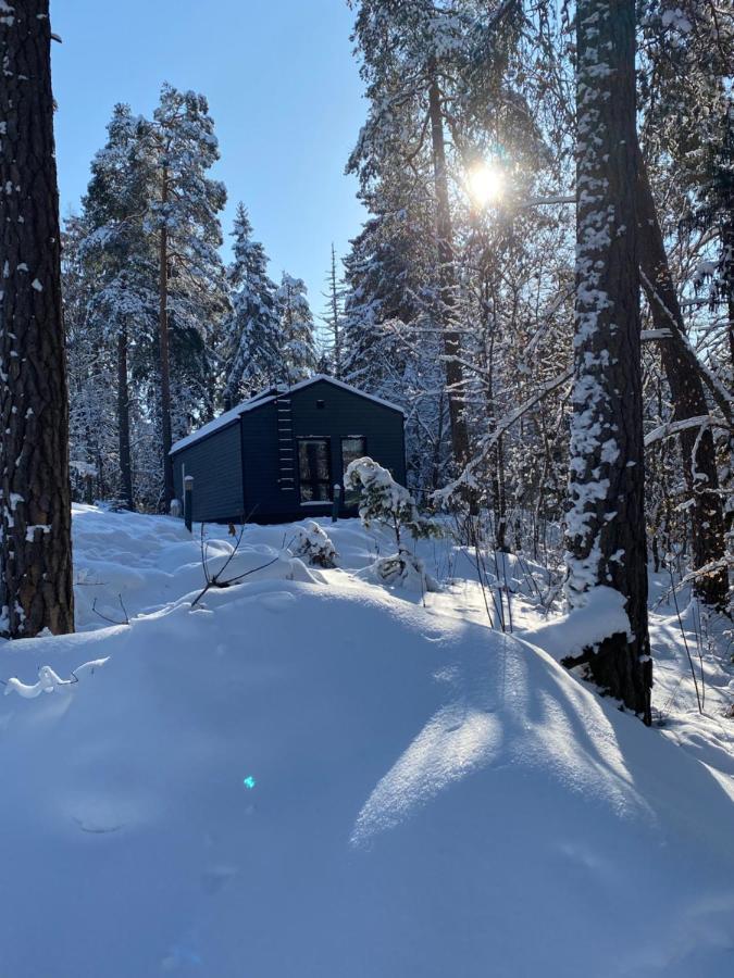 Villa Tammikon Tupa Tuusula Esterno foto