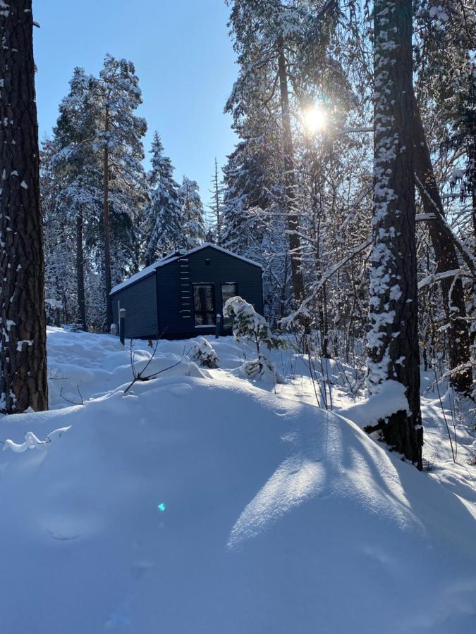 Tammikon Tupa Villa Tuusula Esterno foto